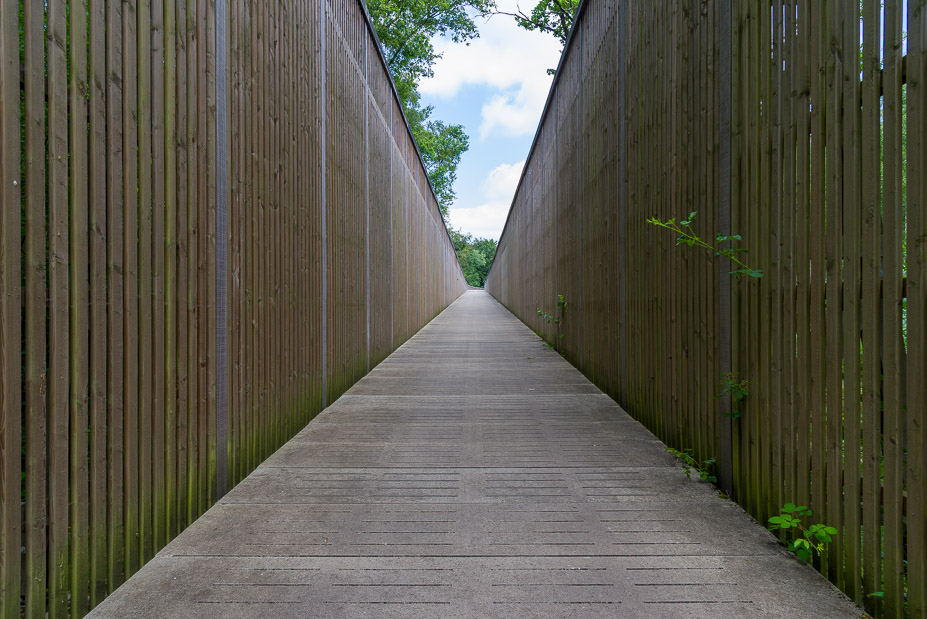 Fietsen door de heide