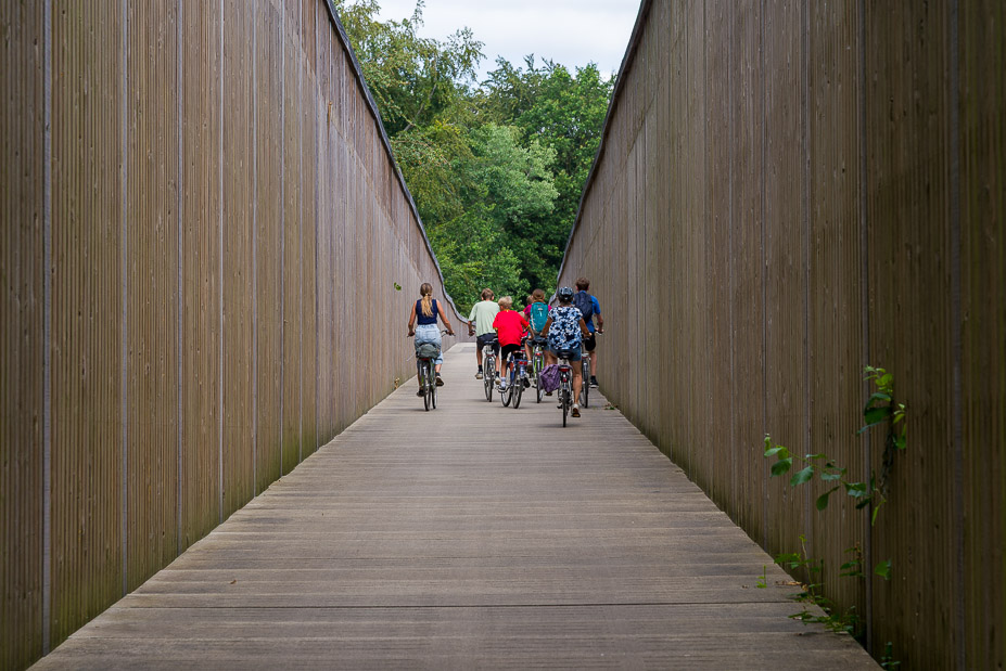 Fietsen door de heide
